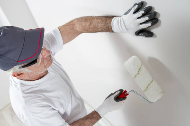 Best Fire-Damaged Drywall Repair  in Punta Gorda, FL